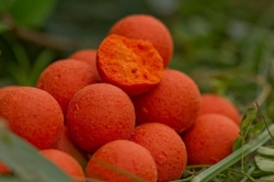 Boilies Starbaits Probiotic Peach&Mango 20mm 1kg