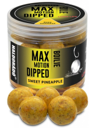 Haldorado Max Motion Boilie Dipped 20mm / 80g