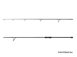 Prut Delphin ETNA LEGEND4RY 3m / 3lb / 2diel