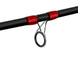 Prut Delphin LEEDER Feeder + 2 špičky 330cm / 100g 