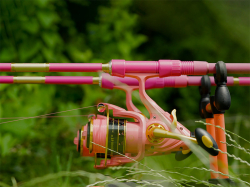 Prut Delphin QUEEN Candy 3,6m / 3lb / 3 diel