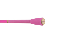 Prut Delphin QUEEN Candy 3m / 3lb / 2 diel